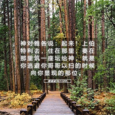 Picture 05 - 创 世 纪 35:1 CUVS - 神 对 雅 各 说 ： 起 来 ！ 上 伯 特 - Bible Verse Picture