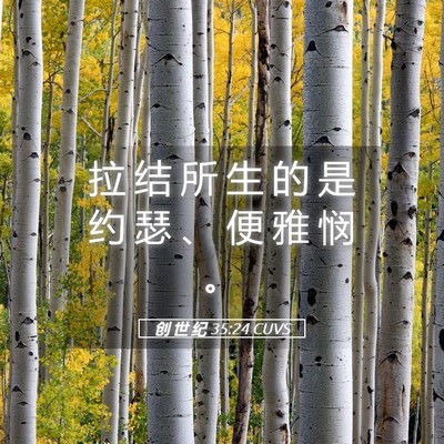 Picture 05 - 创 世 纪 35:24 CUVS - 拉 结 所 生 的 是 约 瑟 、 便 雅 悯 - Bible Verse Picture