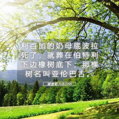 Picture 05 - 创 世 纪 35:8 CUVS - 利 百 加 的 奶 母 底 波 拉 死 了 ， - Bible Verse Picture
