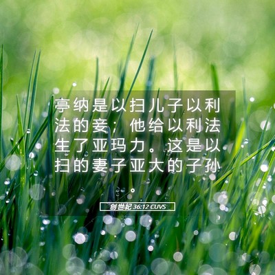 Picture 05 - 创 世 纪 36:12 CUVS - 亭 纳 是 以 扫 儿 子 以 利 法 的 妾 - Bible Verse Picture