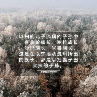 Picture 05 - 创 世 纪 36:17 CUVS - 以 扫 的 儿 子 流 珥 的 子 孙 中 ， - Bible Verse Picture