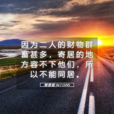 Picture 05 - 创 世 纪 36:7 CUVS - 因 为 二 人 的 财 物 群 畜 甚 多 ， - Bible Verse Picture