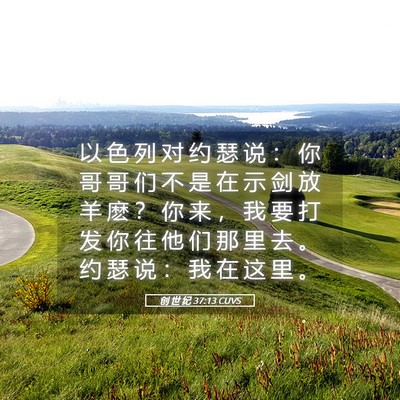 Picture 05 - 创 世 纪 37:13 CUVS - 以 色 列 对 约 瑟 说 ： 你 哥 哥 们 - Bible Verse Picture