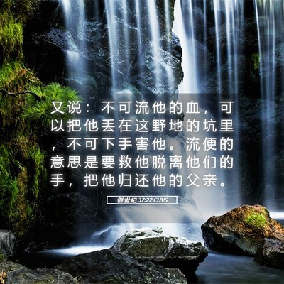 Picture 05 - 创 世 纪 37:22 CUVS - 又 说 ： 不 可 流 他 的 血 ， 可 以 - Bible Verse Picture