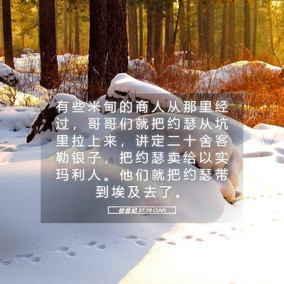 Picture 05 - 创 世 纪 37:28 CUVS - 有 些 米 甸 的 商 人 从 那 里 经 过 - Bible Verse Picture