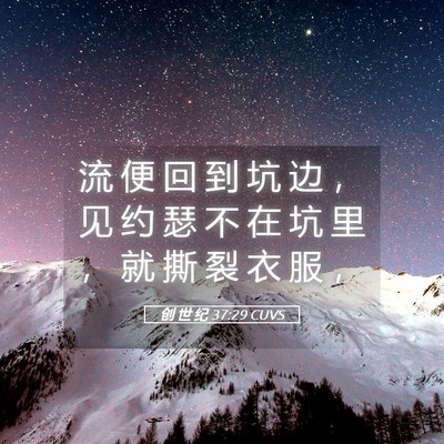 Picture 05 - 创 世 纪 37:29 CUVS - 流 便 回 到 坑 边 ， 见 约 瑟 不 在 - Bible Verse Picture