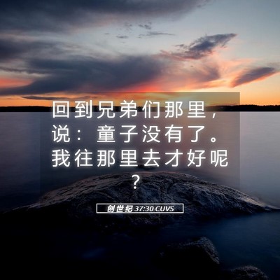 Picture 05 - 创 世 纪 37:30 CUVS - 回 到 兄 弟 们 那 里 ， 说 ： 童 子 - Bible Verse Picture