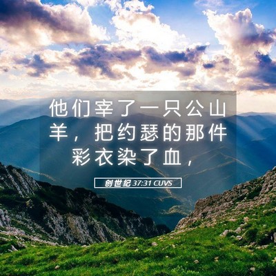 Picture 05 - 创 世 纪 37:31 CUVS - 他 们 宰 了 一 只 公 山 羊 ， 把 约 - Bible Verse Picture