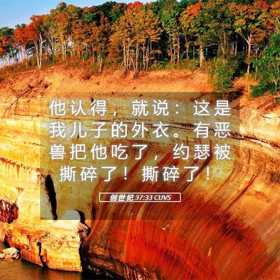 Picture 05 - 创 世 纪 37:33 CUVS - 他 认 得 ， 就 说 ： 这 是 我 儿 子 - Bible Verse Picture