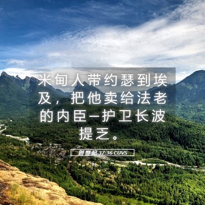 Picture 05 - 创 世 纪 37:36 CUVS - 米 甸 人 带 约 瑟 到 埃 及 ， 把 他 - Bible Verse Picture