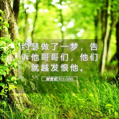 Picture 05 - 创 世 纪 37:5 CUVS - 约 瑟 做 了 一 梦 ， 告 诉 他 哥 哥 - Bible Verse Picture