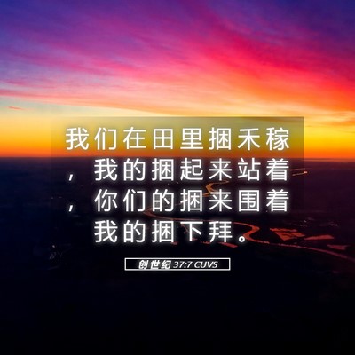 Picture 05 - 创 世 纪 37:7 CUVS - 我 们 在 田 里 捆 禾 稼 ， 我 的 捆 - Bible Verse Picture