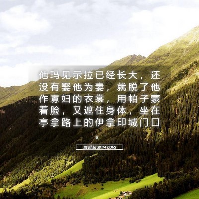 Picture 05 - 创 世 纪 38:14 CUVS - 他 玛 见 示 拉 已 经 长 大 ， 还 没 - Bible Verse Picture