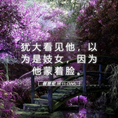 Picture 05 - 创 世 纪 38:15 CUVS - 犹 大 看 见 他 ， 以 为 是 妓 女 ， - Bible Verse Picture
