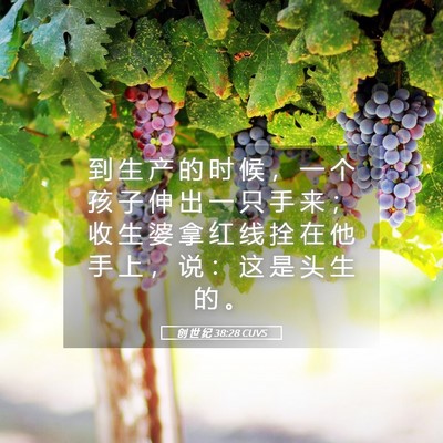 Picture 05 - 创 世 纪 38:28 CUVS - 到 生 产 的 时 候 ， 一 个 孩 子 伸 - Bible Verse Picture