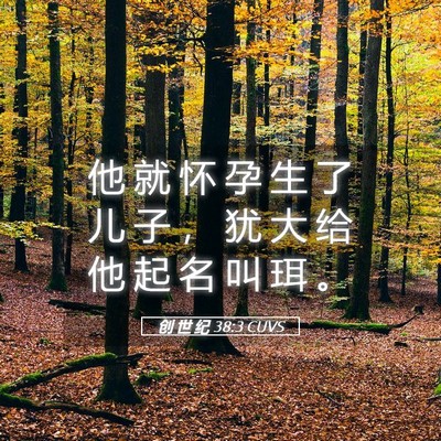 Picture 05 - 创 世 纪 38:3 CUVS - 他 就 怀 孕 生 了 儿 子 ， 犹 大 给 - Bible Verse Picture