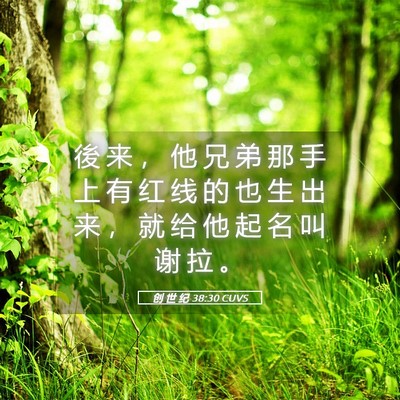 Picture 05 - 创 世 纪 38:30 CUVS - 後 来 ， 他 兄 弟 那 手 上 有 红 线 - Bible Verse Picture