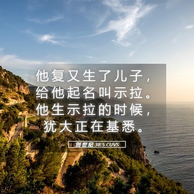 Picture 05 - 创 世 纪 38:5 CUVS - 他 复 又 生 了 儿 子 ， 给 他 起 名 - Bible Verse Picture