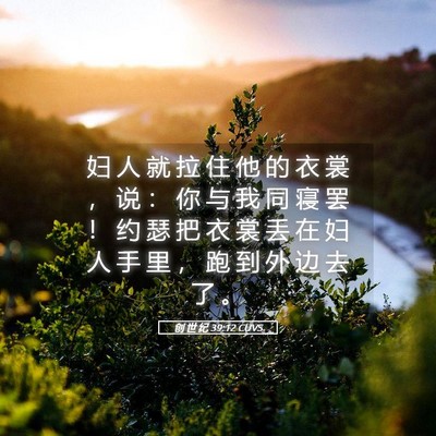 Picture 05 - 创 世 纪 39:12 CUVS - 妇 人 就 拉 住 他 的 衣 裳 ， 说 ： - Bible Verse Picture