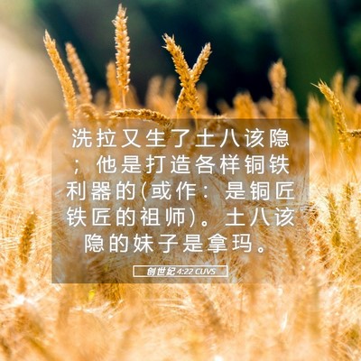 Picture 05 - 创 世 纪 4:22 CUVS - 洗 拉 又 生 了 土 八 该 隐 ； 他 是 - Bible Verse Picture