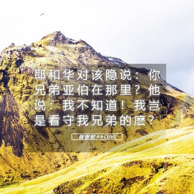 Picture 05 - 创 世 纪 4:9 CUVS - 耶 和 华 对 该 隐 说 ： 你 兄 弟 亚 - Bible Verse Picture