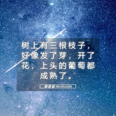Picture 05 - 创 世 纪 40:10 CUVS - 树 上 有 三 根 枝 子 ， 好 像 发 了 - Bible Verse Picture