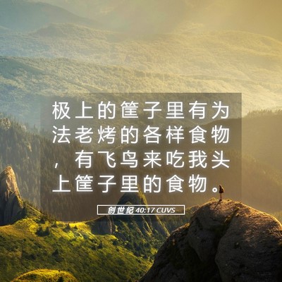 Picture 05 - 创 世 纪 40:17 CUVS - 极 上 的 筐 子 里 有 为 法 老 烤 的 - Bible Verse Picture