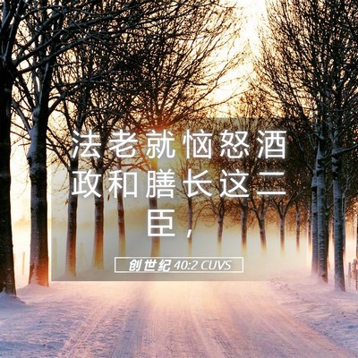 Picture 05 - 创 世 纪 40:2 CUVS - 法 老 就 恼 怒 酒 政 和 膳 长 这 二 - Bible Verse Picture