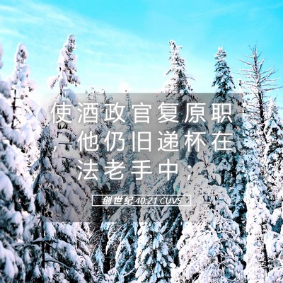 Picture 05 - 创 世 纪 40:21 CUVS - 使 酒 政 官 复 原 职 ， 他 仍 旧 递 - Bible Verse Picture