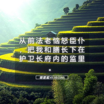 Picture 05 - 创 世 纪 41:10 CUVS - 从 前 法 老 恼 怒 臣 仆 ， 把 我 和 - Bible Verse Picture
