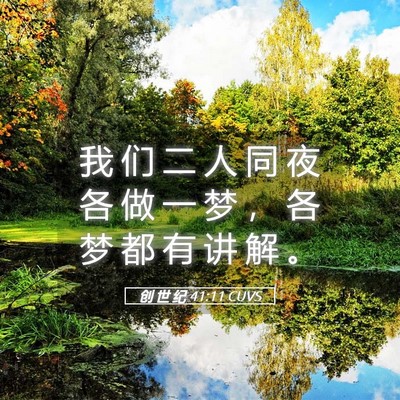 Picture 05 - 创 世 纪 41:11 CUVS - 我 们 二 人 同 夜 各 做 一 梦 ， 各 - Bible Verse Picture
