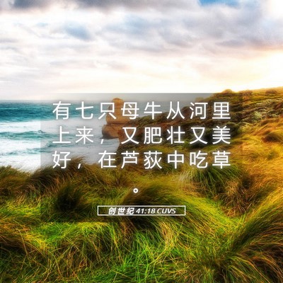 Picture 05 - 创 世 纪 41:18 CUVS - 有 七 只 母 牛 从 河 里 上 来 ， 又 - Bible Verse Picture