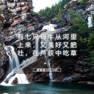 Picture 05 - 创 世 纪 41:2 CUVS - 有 七 只 母 牛 从 河 里 上 来 ， 又 - Bible Verse Picture