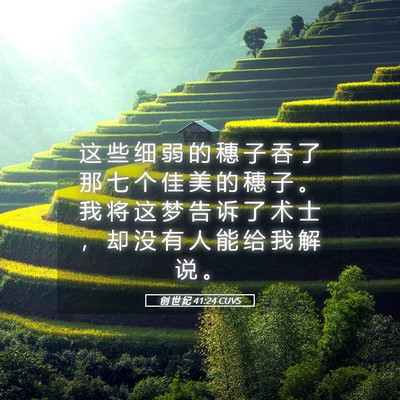 Picture 05 - 创 世 纪 41:24 CUVS - 这 些 细 弱 的 穗 子 吞 了 那 七 个 - Bible Verse Picture