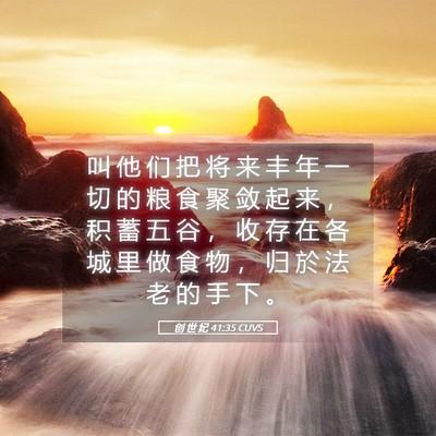 Picture 05 - 创 世 纪 41:35 CUVS - 叫 他 们 把 将 来 丰 年 一 切 的 粮 - Bible Verse Picture