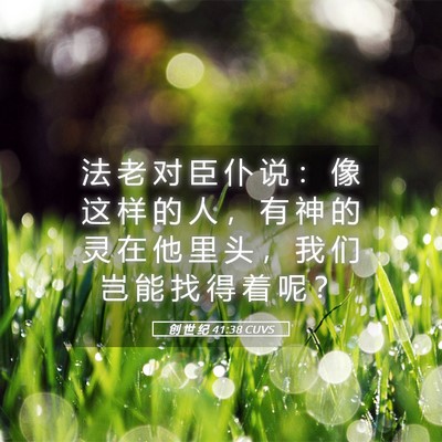 Picture 05 - 创 世 纪 41:38 CUVS - 法 老 对 臣 仆 说 ： 像 这 样 的 人 - Bible Verse Picture
