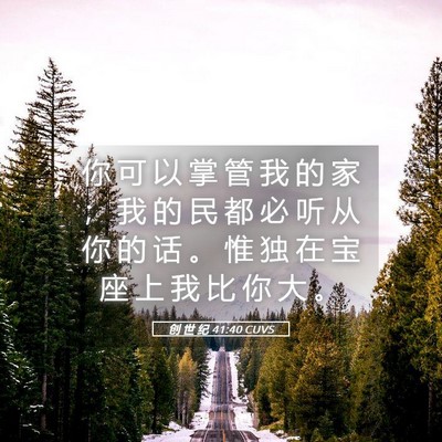 Picture 05 - 创 世 纪 41:40 CUVS - 你 可 以 掌 管 我 的 家 ； 我 的 民 - Bible Verse Picture