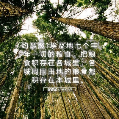 Picture 05 - 创 世 纪 41:48 CUVS - 约 瑟 聚 ? 埃 及 地 七 个 丰 年 一 切 - Bible Verse Picture
