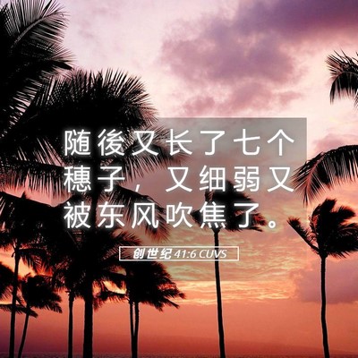 Picture 05 - 创 世 纪 41:6 CUVS - 随 後 又 长 了 七 个 穗 子 ， 又 细 - Bible Verse Picture