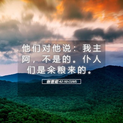 Picture 05 - 创 世 纪 42:10 CUVS - 他 们 对 他 说 ： 我 主 阿 ， 不 是 - Bible Verse Picture