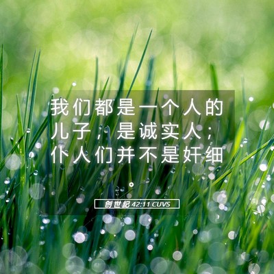 Picture 05 - 创 世 纪 42:11 CUVS - 我 们 都 是 一 个 人 的 儿 子 ， 是 - Bible Verse Picture