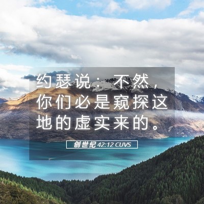 Picture 05 - 创 世 纪 42:12 CUVS - 约 瑟 说 ： 不 然 ， 你 们 必 是 窥 - Bible Verse Picture