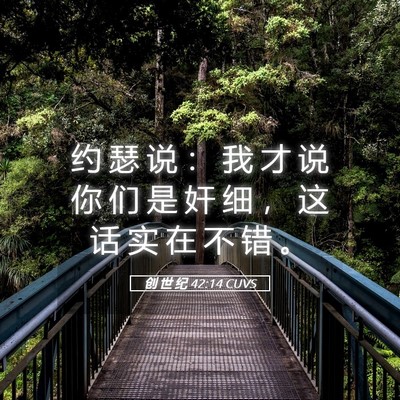 Picture 05 - 创 世 纪 42:14 CUVS - 约 瑟 说 ： 我 才 说 你 们 是 奸 细 - Bible Verse Picture