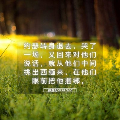 Picture 05 - 创 世 纪 42:24 CUVS - 约 瑟 转 身 退 去 ， 哭 了 一 场 ， - Bible Verse Picture