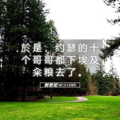 Picture 05 - 创 世 纪 42:3 CUVS - 於 是 ， 约 瑟 的 十 个 哥 哥 都 下 - Bible Verse Picture