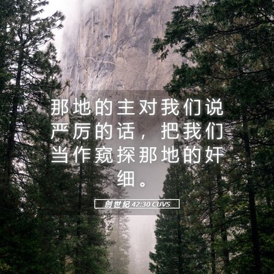 Picture 05 - 创 世 纪 42:30 CUVS - 那 地 的 主 对 我 们 说 严 厉 的 话 - Bible Verse Picture