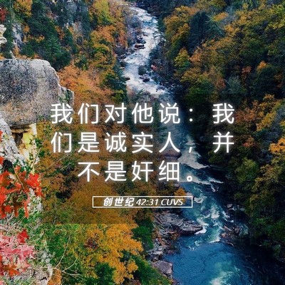 Picture 05 - 创 世 纪 42:31 CUVS - 我 们 对 他 说 ： 我 们 是 诚 实 人 - Bible Verse Picture