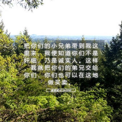 Picture 05 - 创 世 纪 42:34 CUVS - 把 你 们 的 小 兄 弟 带 到 我 这 里 - Bible Verse Picture