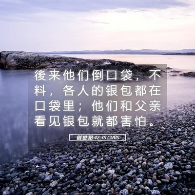 Picture 05 - 创 世 纪 42:35 CUVS - 後 来 他 们 倒 口 袋 ， 不 料 ， 各 - Bible Verse Picture