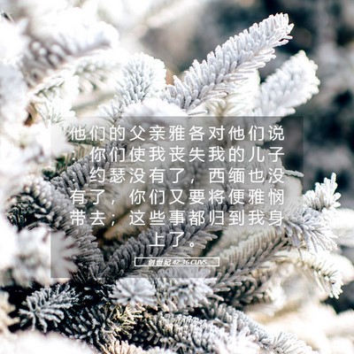 Picture 05 - 创 世 纪 42:36 CUVS - 他 们 的 父 亲 雅 各 对 他 们 说 ： - Bible Verse Picture